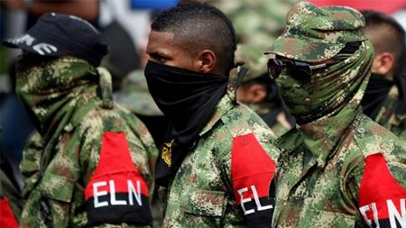 militantes de la guerrilla colombiana